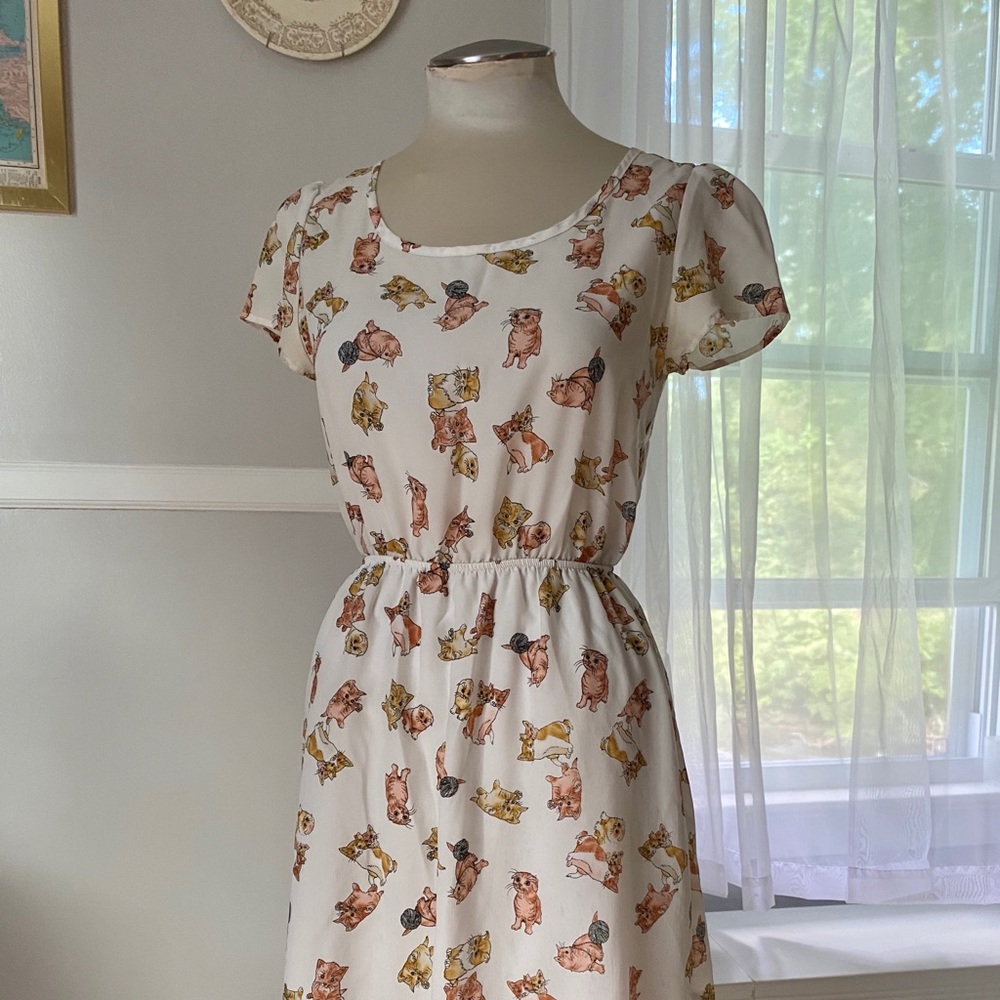 Kitty cat dress